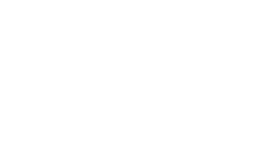 Dr. Euler Ribeiro Filho